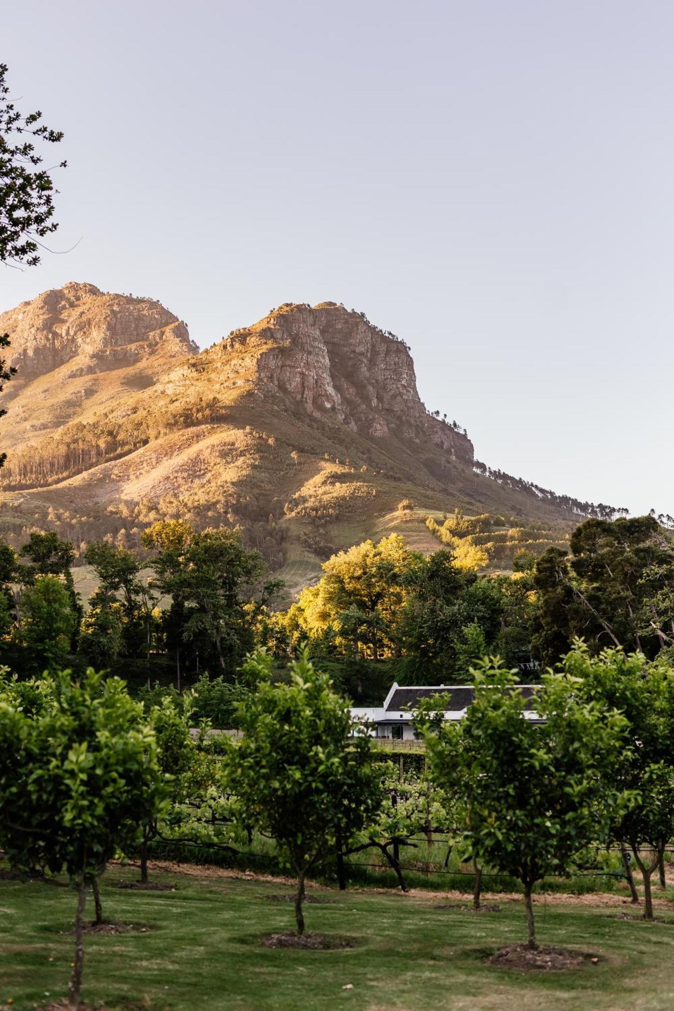 Molenvliet Vineyards Hotel Stellenbosch Luaran gambar